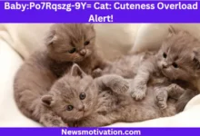 BabyPo7Rqszg-9Y= Cat Cuteness Overload Alert!